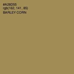 #A28D55 - Barley Corn Color Image